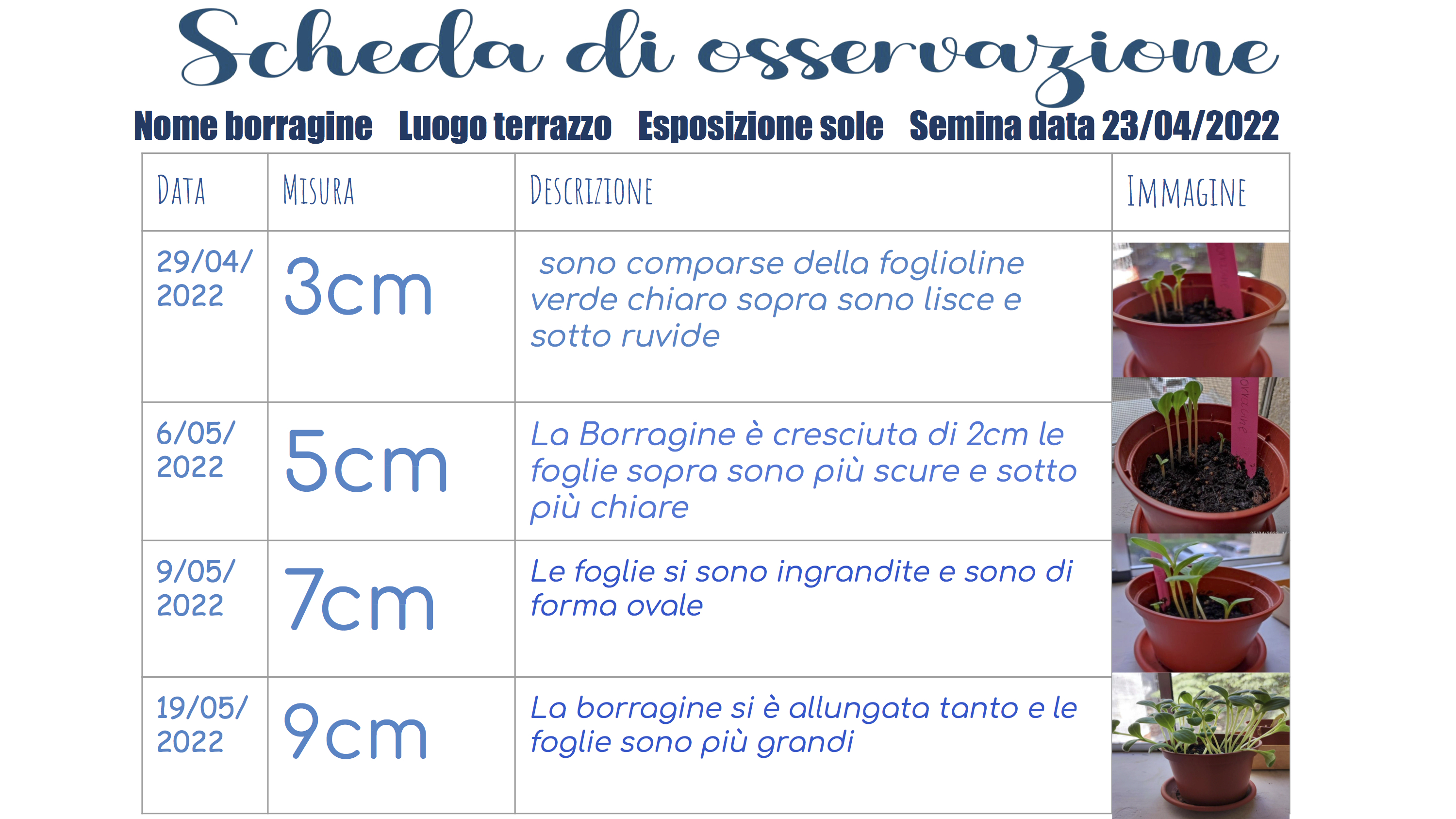 Frutto 3