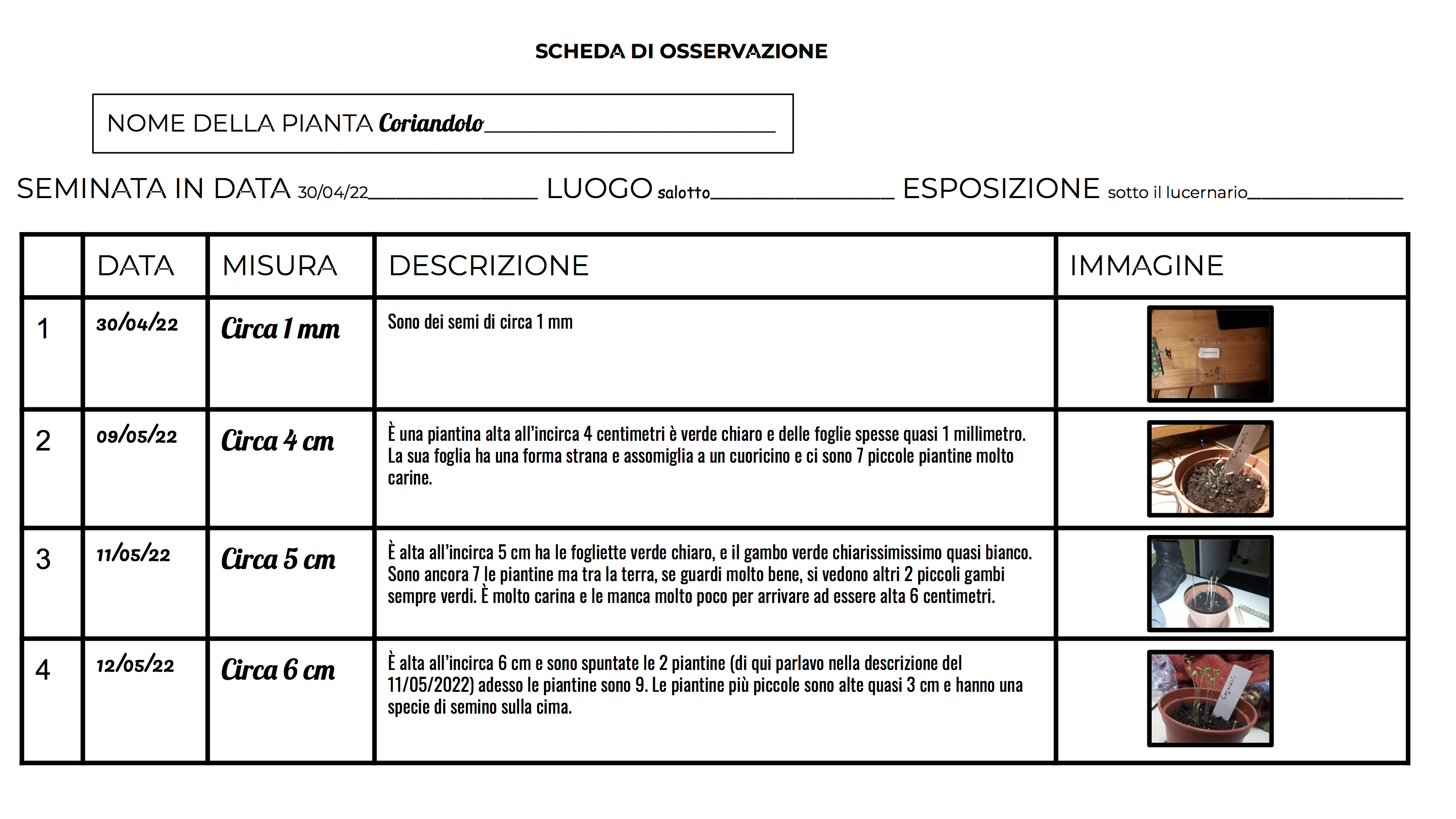 Frutto 4