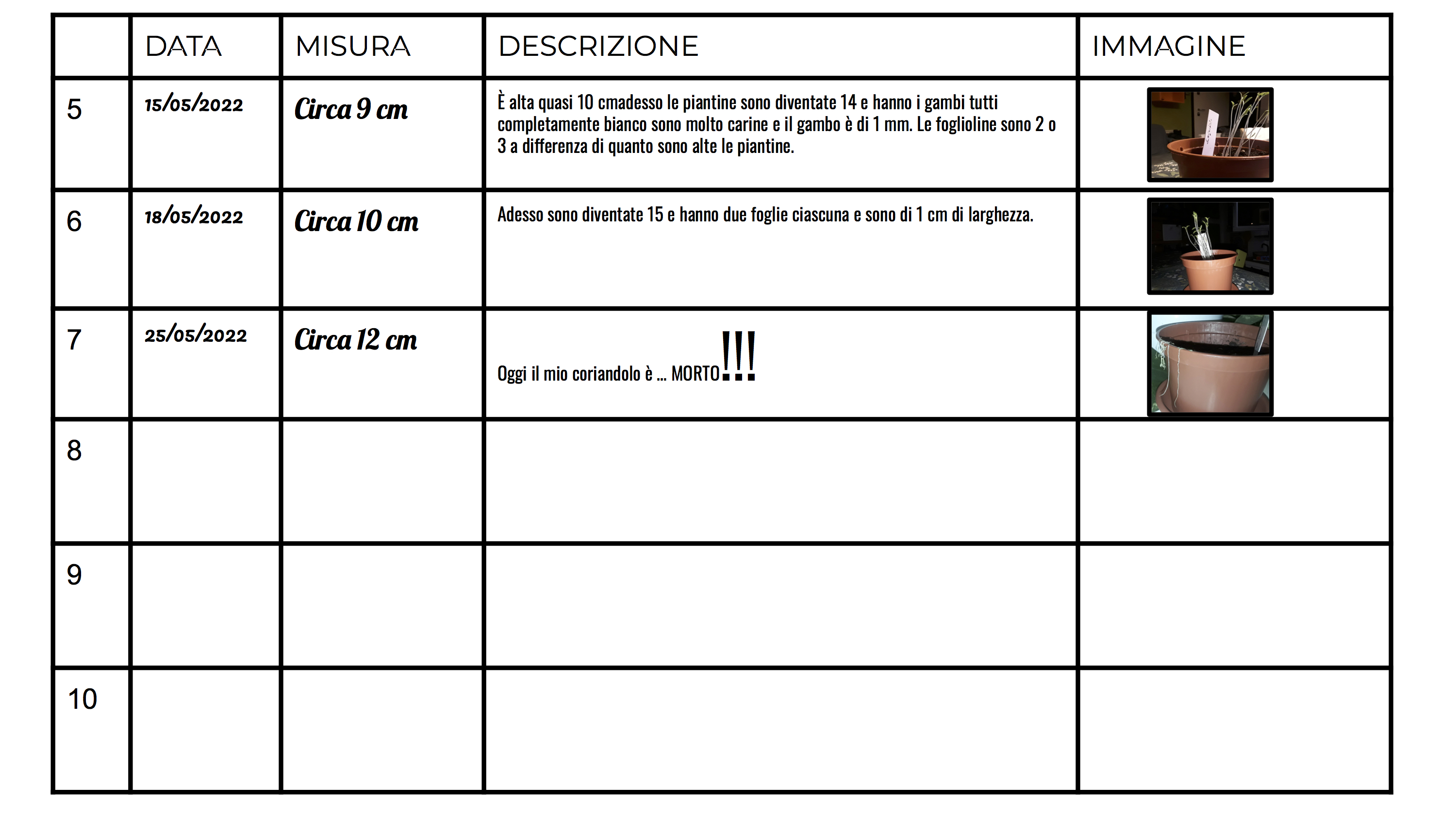 Frutto 5