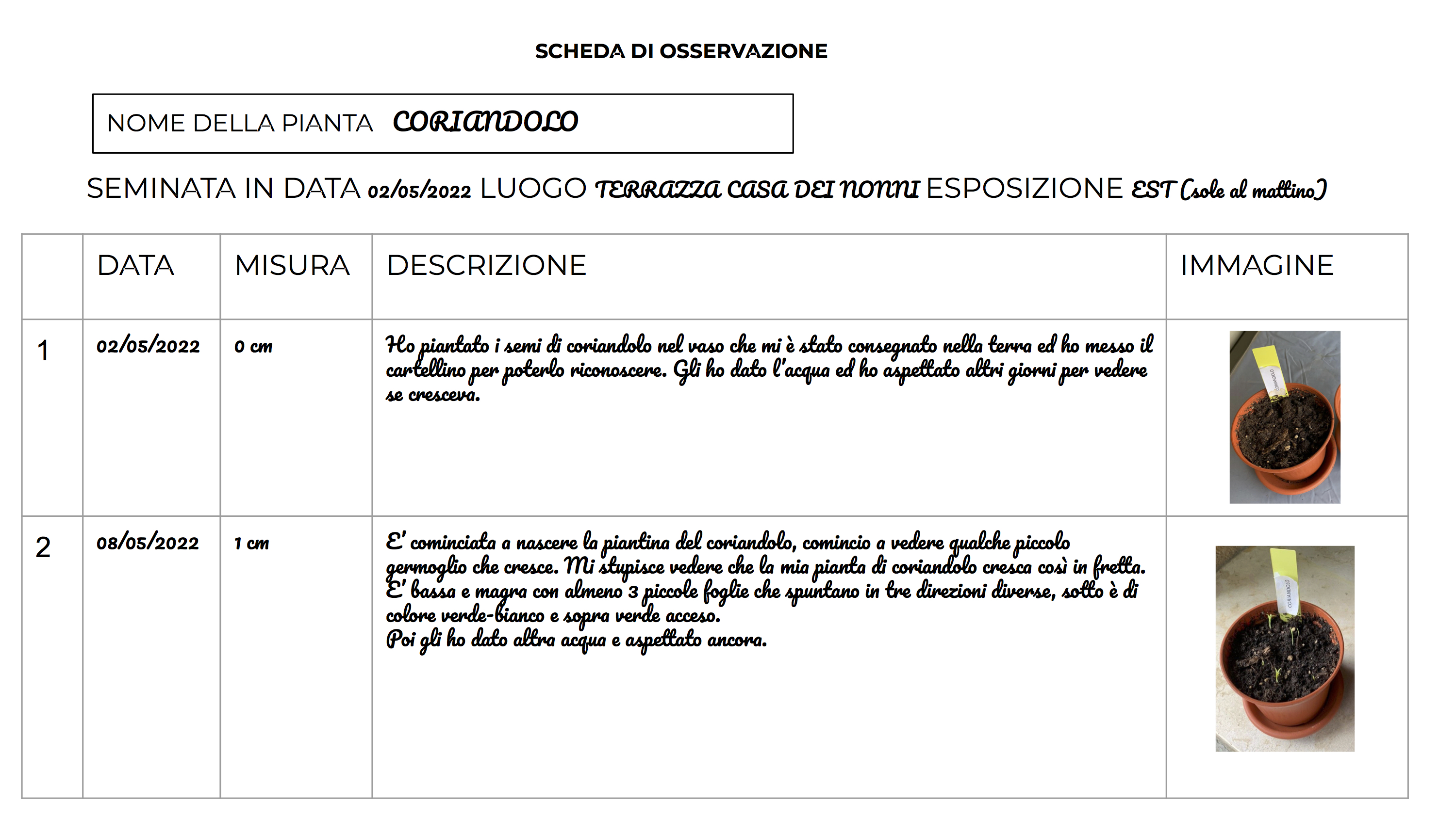 Frutto 6